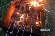 выкса.рф, Шашлыки не пожаришь